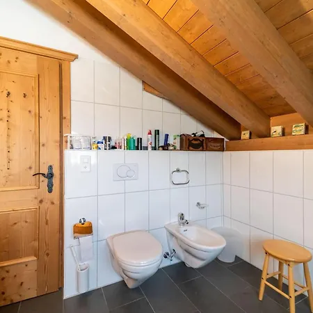 Chesa La Buot - * 席尔瓦普拉纳